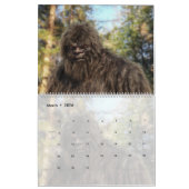 SASQUATCH BIGFOOT CALENDAR - VOLUME 3 KALENDER (Mar 2026)