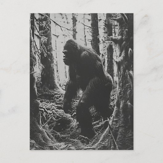 Sasquatch in het bos zwart-wit briefkaart (Voorkant)