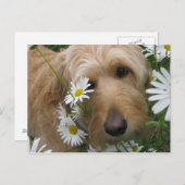 Sassy Girl Briefkaart (Voorkant / Achterkant)