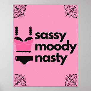 Sassy, Moody, Nasty Roze & Zwarte lingerie Boudoir Poster