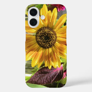 Sassy Sunflower iPhone Case