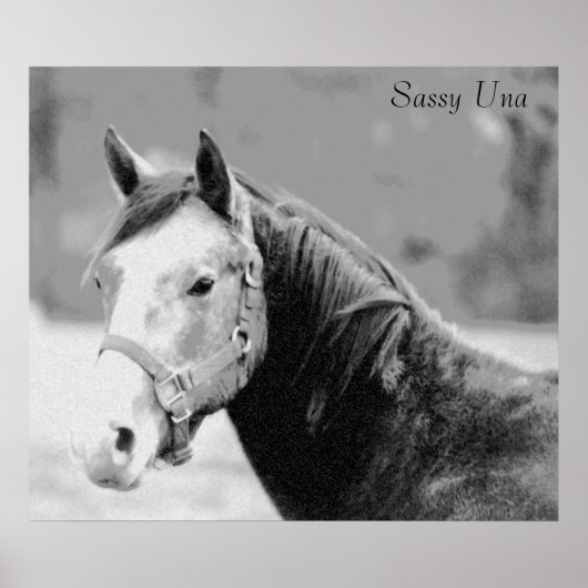 Sassy Una Print (Voorkant)