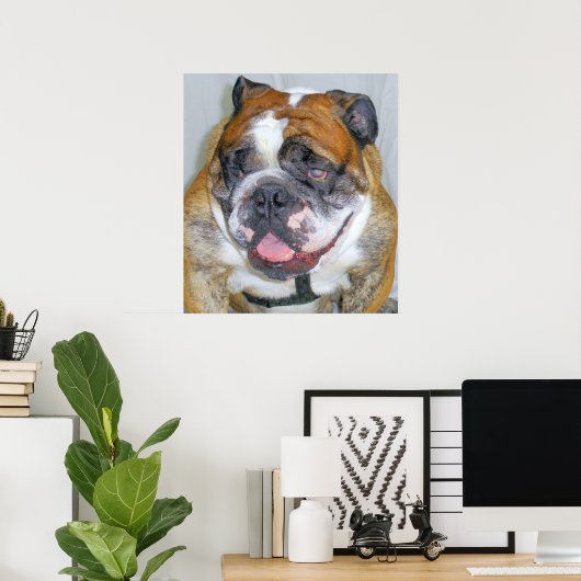 Sassydog de Bulldog Poster (Thuiskantoor)