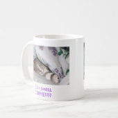 Sassydog FONT CAFÉ d'ODEUR d'I ? ? ? tasse de (Devant gauche)