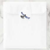 Satelliet Stickers (Tas)