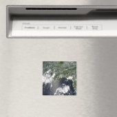 Satelliet-uitzicht van de Golf van Mexico Magneet (Insitu (Vaatwasser))