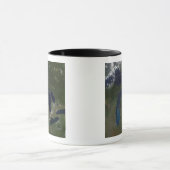 Satelliet-uitzicht van de Grote Meren Mok (Midden)