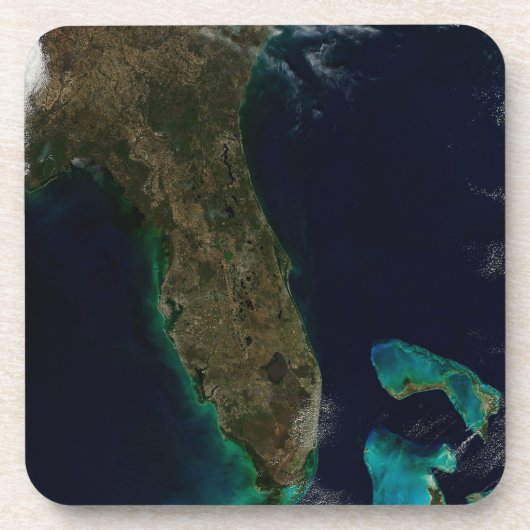 Satelliet Uitzicht van Florida. Bier Onderzetter (Voorkant)