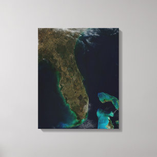 Satelliet Uitzicht van Florida. Canvas Afdruk
