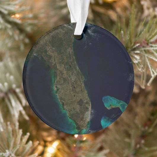 Satelliet Uitzicht van Florida. Ornament (Boom)