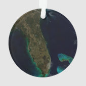 Satelliet Uitzicht van Florida. Ornament (achterkant)