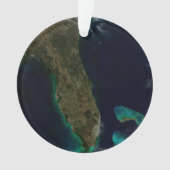 Satelliet Uitzicht van Florida. Ornament (voorkant)