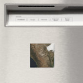 Satelliet-uitzicht van het landschap in Midden-Mex Magneet (Insitu (Vaatwasser))