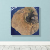 Satelliet-uitzicht van Mount Fogo Canvas Afdruk (Insitu (Houten vloer))