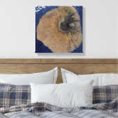 Satelliet-uitzicht van Mount Fogo Canvas Afdruk (Insitu (Slaapkamer))