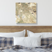 Satelliet-uitzicht van Persepolis Canvas Afdruk (Insitu (Slaapkamer))