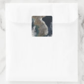 Satelliet-uitzicht van sneeuwval vierkante sticker (Tas)