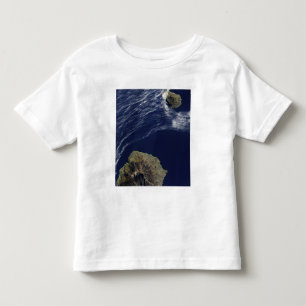 Satellietuitzicht van de Prince Edward Islands Kinder Shirts