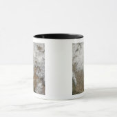 Satellietuitzicht van de westerne Verenigde Staten Mok (Midden)