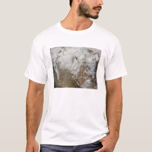 Satellietuitzicht van de westerne Verenigde Staten T-shirt