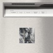 Satellietuitzicht van een aspluim magneet (Insitu (Vaatwasser))