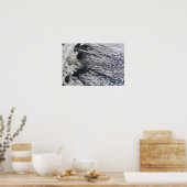 Satellietuitzicht van een aspluim poster (Keuken)