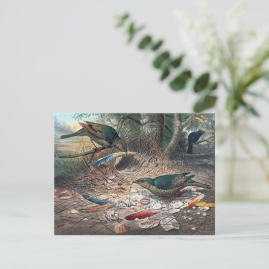 Satin Bower-Bird door Joseph Wolf Briefkaart (Staand voorkant)