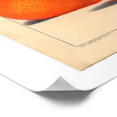 Satsuma botanische print (Hoek)
