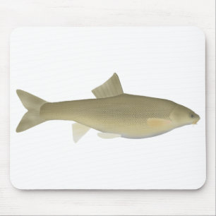 Sattar Snowtrout Muismat