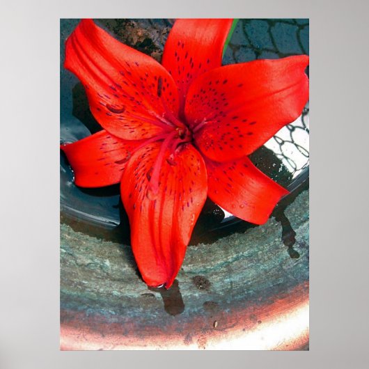 Saturnus Flow Poster (Voorkant)