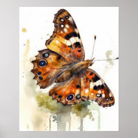 Satyr Butterfly Art Print Poster