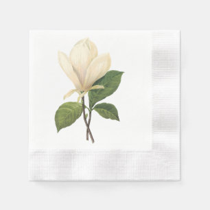 saucermagnolia(Magnolia soulangiana) door Redouté Servetten