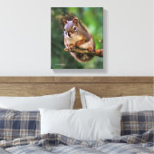 Saucy Red Squirrel in Fir Canvas Afdruk (Insitu (Slaapkamer))