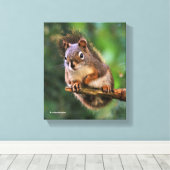 Saucy Red Squirrel in Fir Canvas Afdruk (Insitu (Houten vloer))