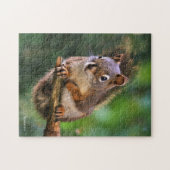 Saucy Red Squirrel in Fir Legpuzzel (Horizontaal)