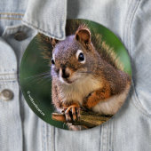 Saucy Red Squirrel in Fir Ronde Button 6,0 Cm (In situ)