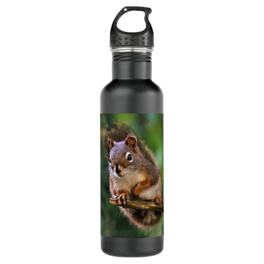 Saucy Red Squirrel in Fir Waterfles (Voorkant)