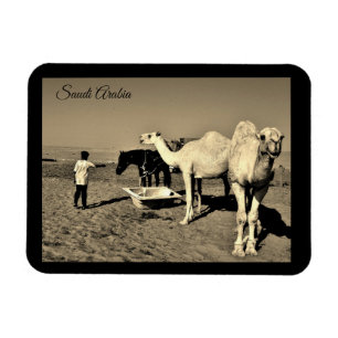 Saudi-Arabië Magneet