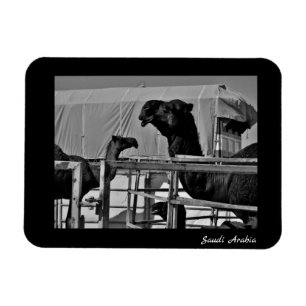 Saudi-Arabië Magneet