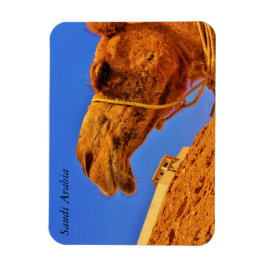 Saudi-Arabië Magneet