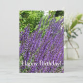 Sauge pourpre, Salvia violette Carte Anniversaire (Debout devant)