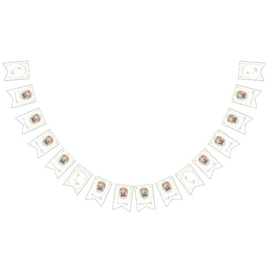 Sauge verte Oie soie 12 mois Bannière photo (Tout)