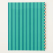 Saul Goode Zen Advisor Aqua Stripes BG (Dos)