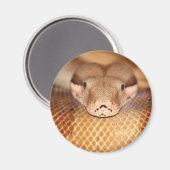 Saumon Boa Magnet (Recto/Verso)