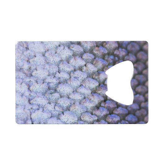 Saumon chatoyant (Devant (Horizontal))