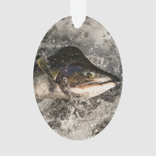 Saumon de saut (dos)