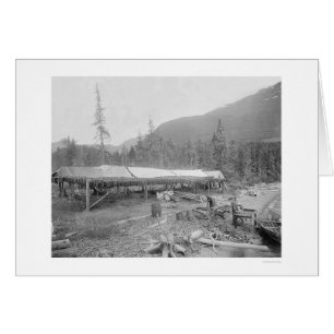 Saumon de séchage en Alaska 1915