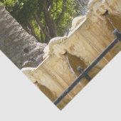 Sausalito Fountain California Travel Photography Tissuepapier (Detail)