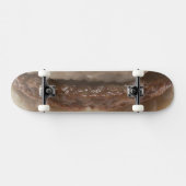 Sause Biscuit Skateboard (Horizontaal)