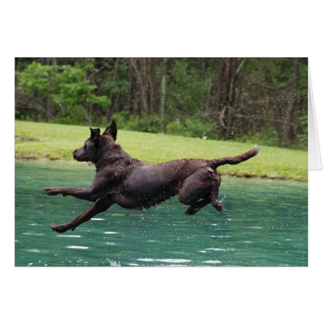 Saut volant ! (Devant horizontal)